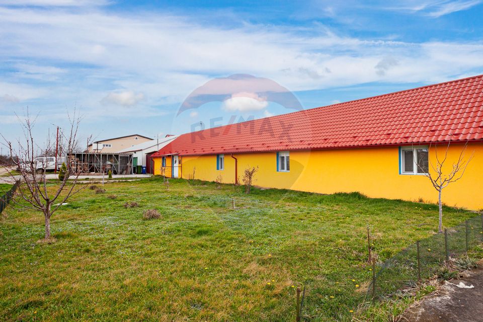 Casă renovată modern cu 3 camere de vânzare Frumușeni Arad