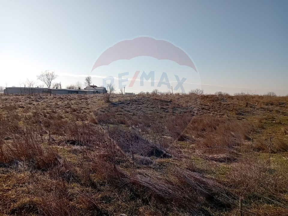 Land 7,000sqm Calafat / Aleea Tarlaua 97, parcela 17