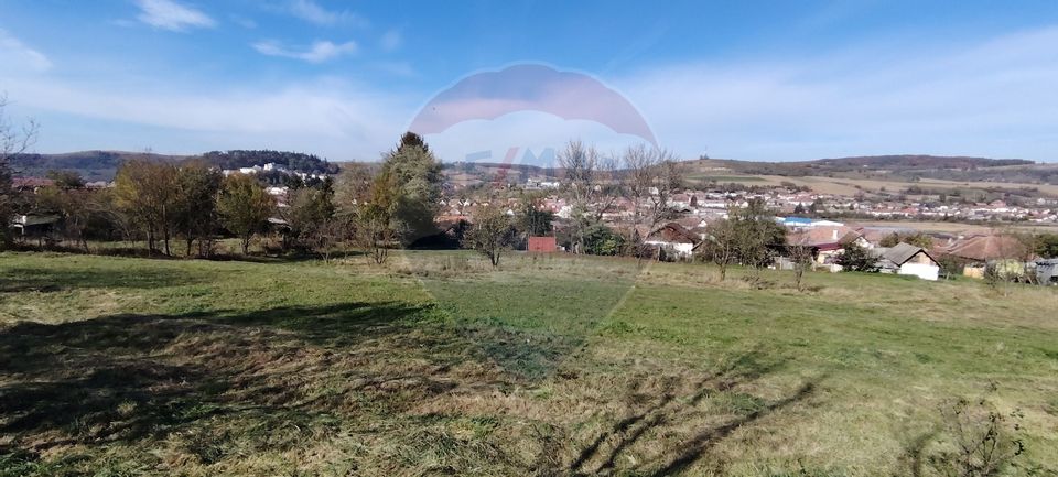 Teren intravilan de vanzare 3,798mp Str.Floreasca - Agnita