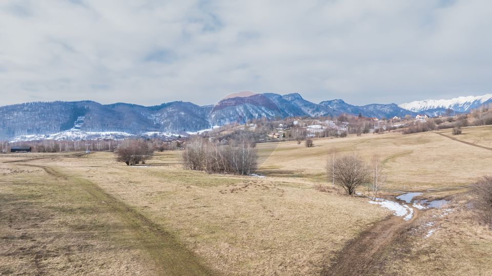 Land 4,500sqm Tohanu Nou / Strada Cernilei