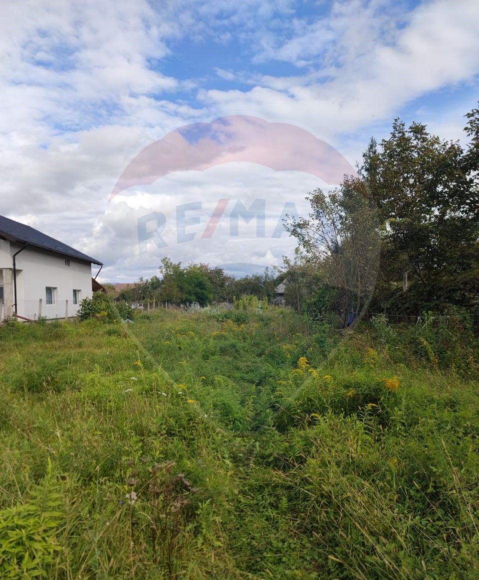 Land 1,100sqm Sighetu Marmatiei / Strada Primaverii