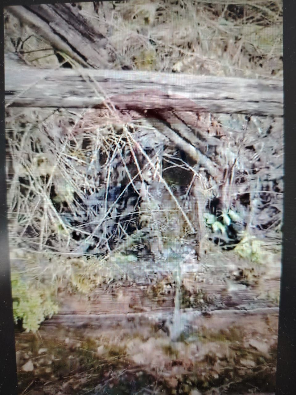 Teren 17,895mp Dorna-Arini / Prelungirea Cozănești