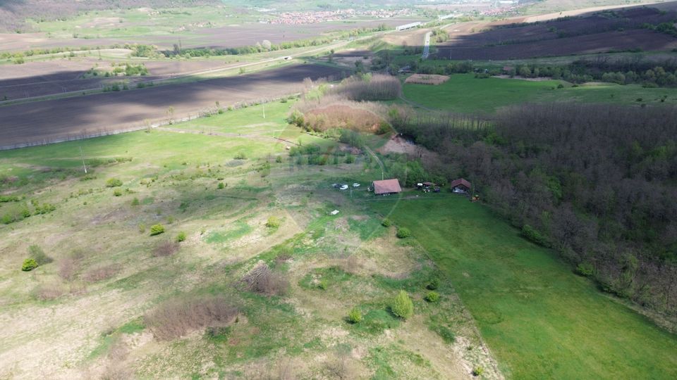 Domain - 66 Hectares - Special land Copsa Mica with access to DN14