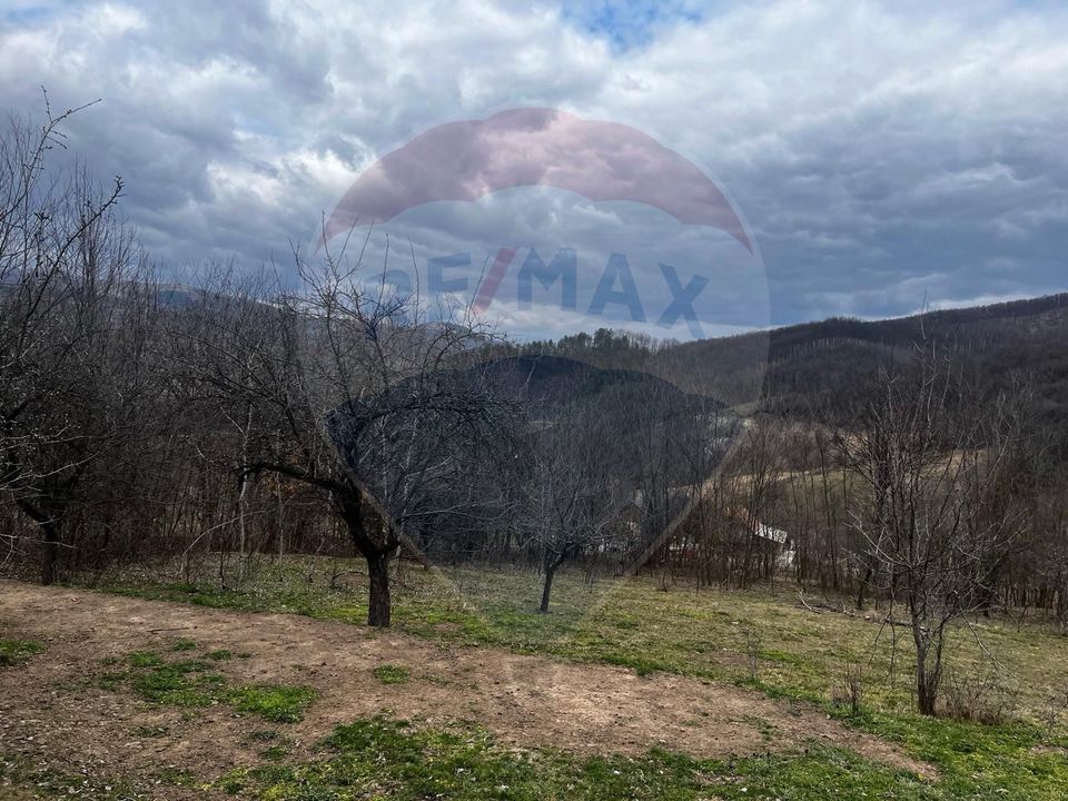 Land 12,458sqm Valeni (Metes) / Strada Principala