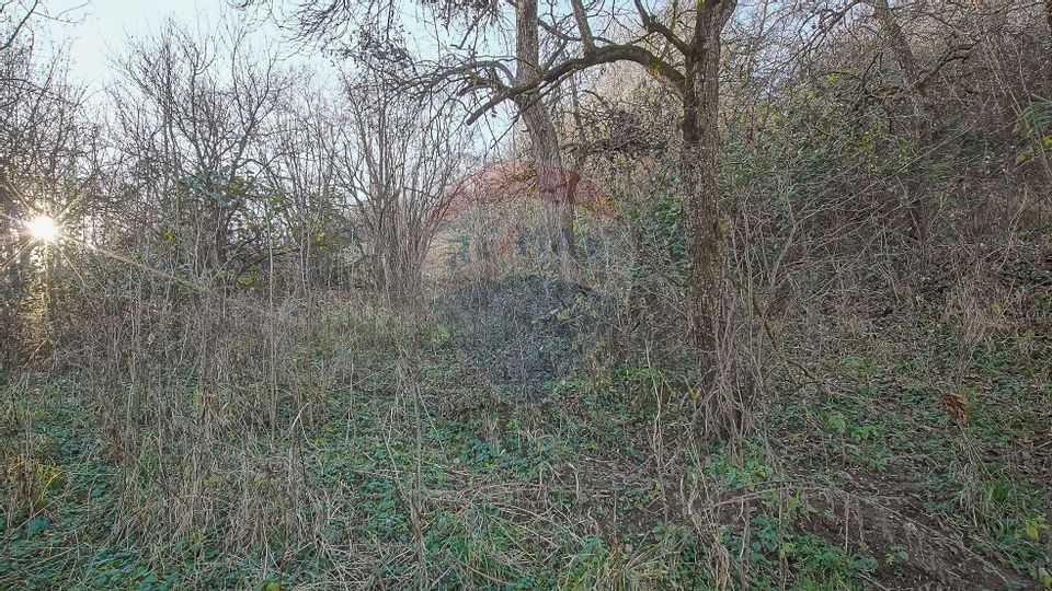 2 room House / Villa for sale, Schei area