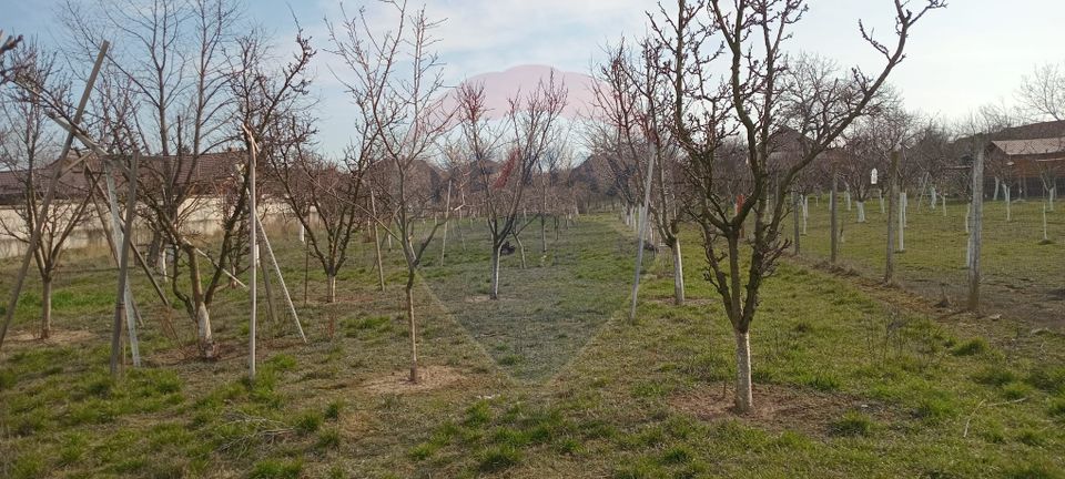 Land 2,954sqm Vladimirescu / Strada Stefan cel Mare