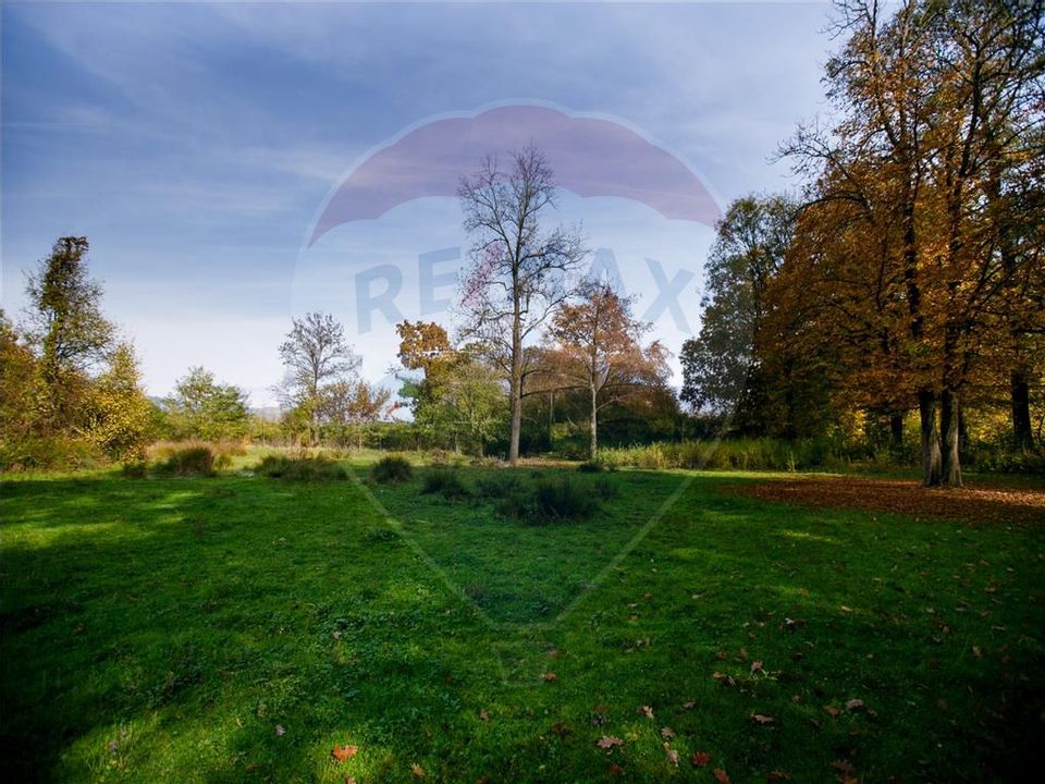 Domeniu Baronial de vanzare in localitatea CIL , Judet Arad