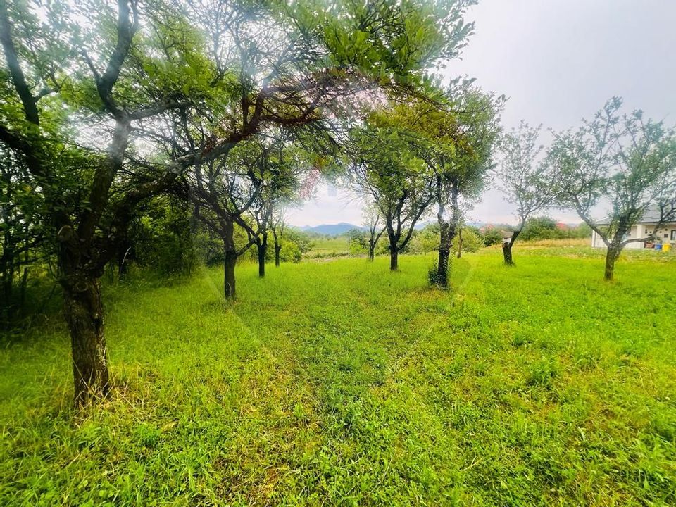 Land 2,156sqm Satu Nou de Jos / Strada Ciresilor