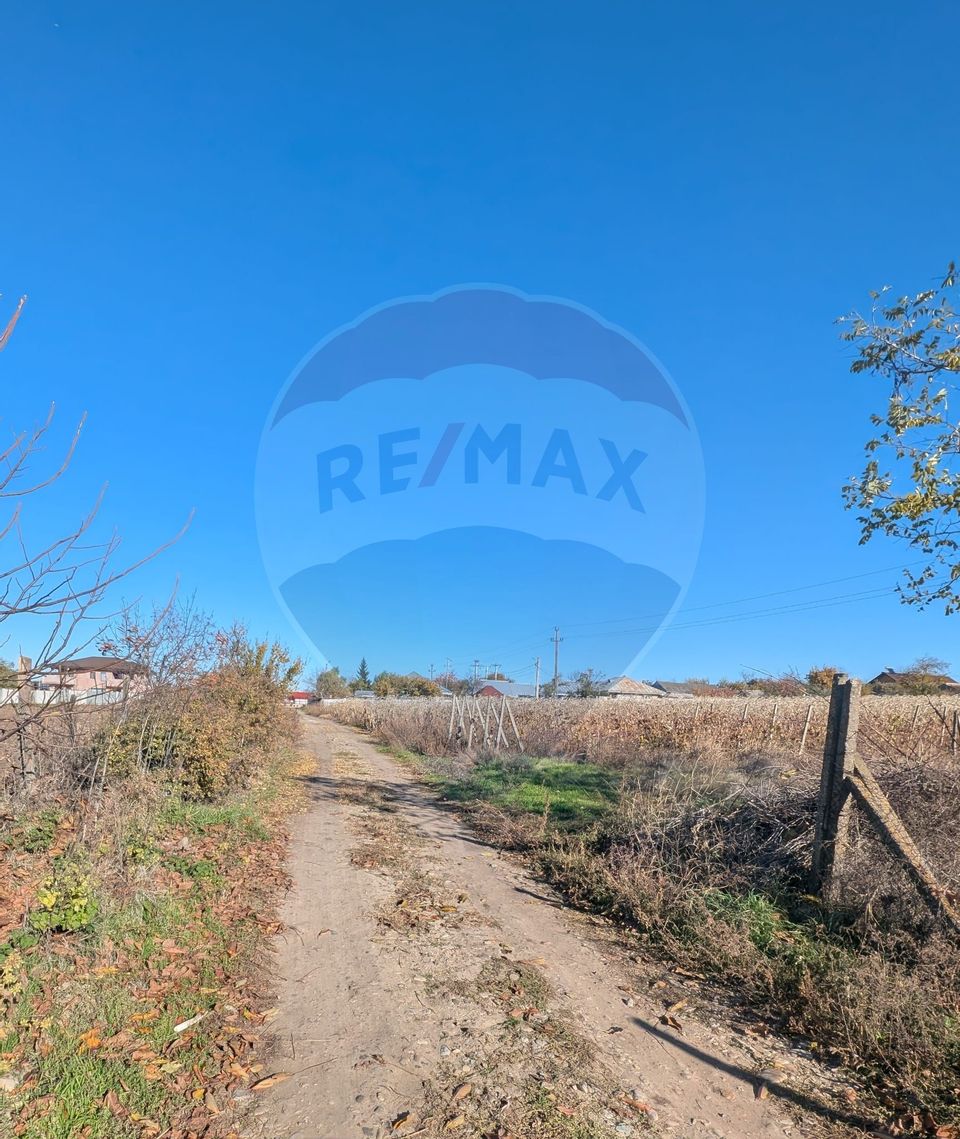 Land 1,200sqm Perieni / Drumul poiana sat