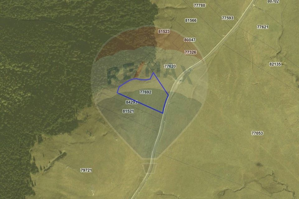 Teren intravilan Transbucegi / Oportunitate de dezvoltare Transbucegi
