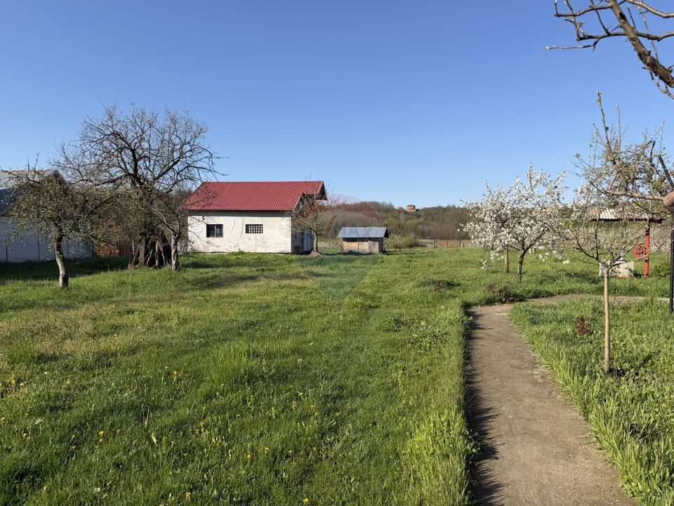 3 room House / Villa for sale