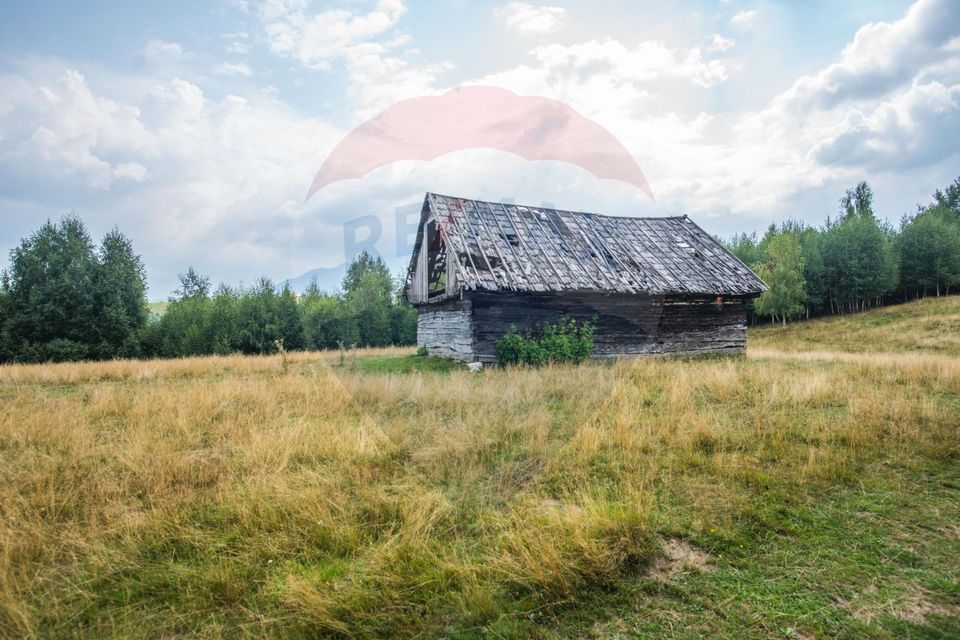 Teren extravilan Moieciu 45316mp