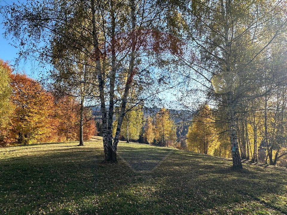 Investment opportunity ! Dream land in Pestera - 125,370 sqm