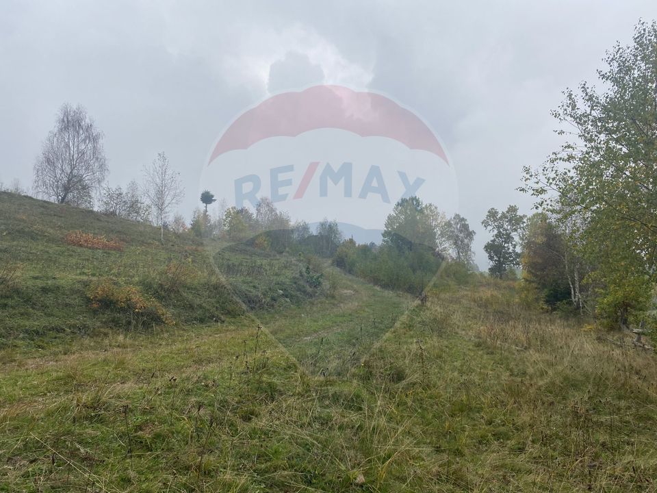 Land 8,119sqm Calatele / Strada Calatele Padure