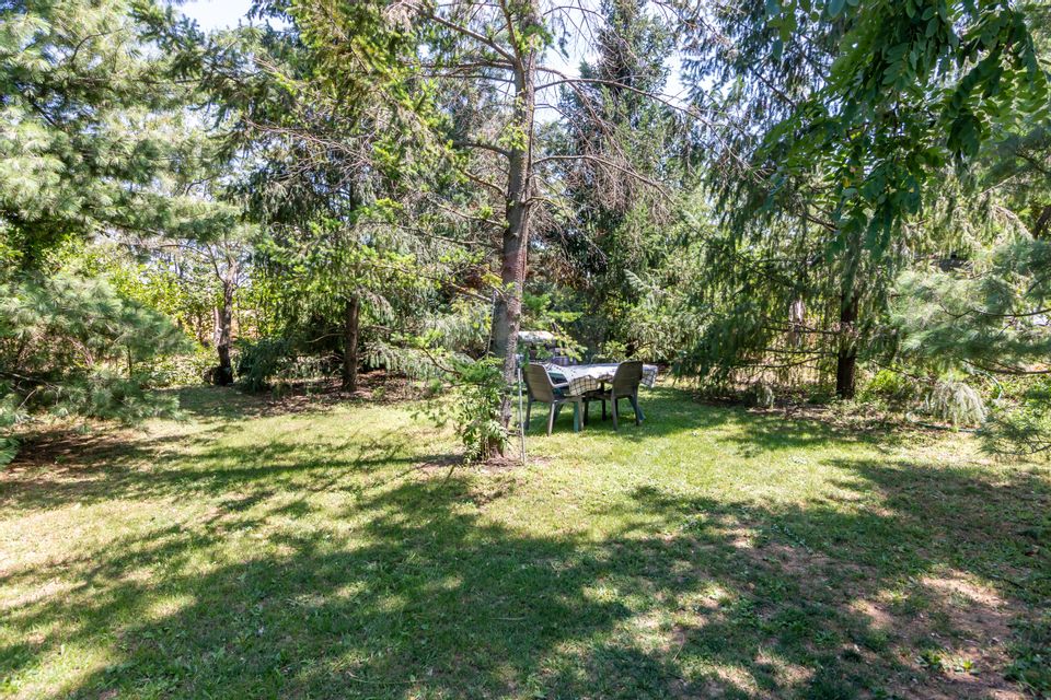 Casa+Laborator+ Teren 12.700 mp + casa de vacanta - Bolintin Vale