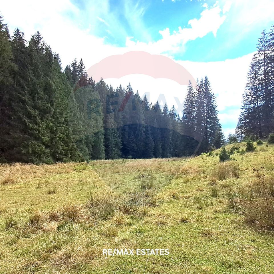 Land 500sqm Poiana Brasov / Strada Valea Sticlariei