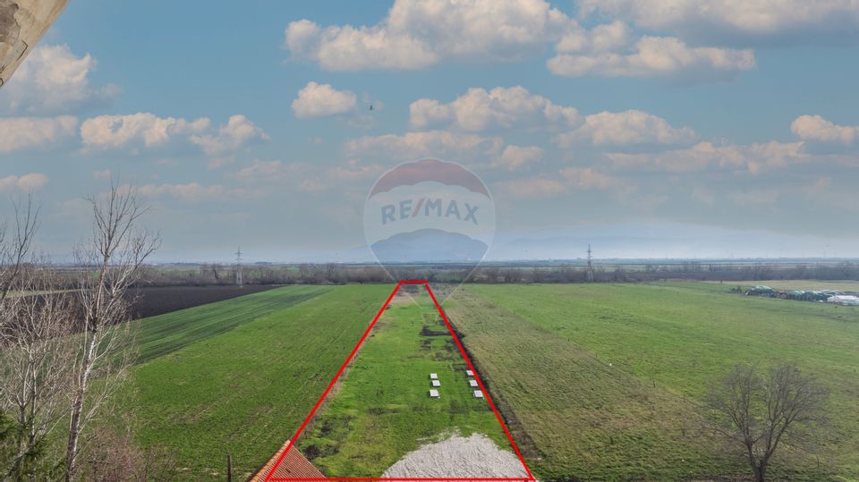 Land 10,000sqm Codlea / Strada Halchiului