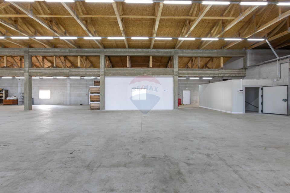 Hală 1.000 mp + curte 3.200 mp + CASĂ 160 mp BONUS | Acces TIR | Bacău