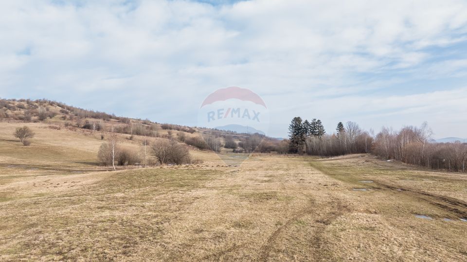 Land 4,500sqm Tohanu Nou / Strada Cernilei