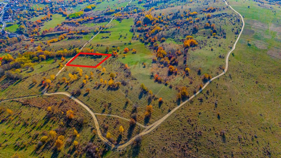 Land 3,824sqm Zarnesti / Strada FN