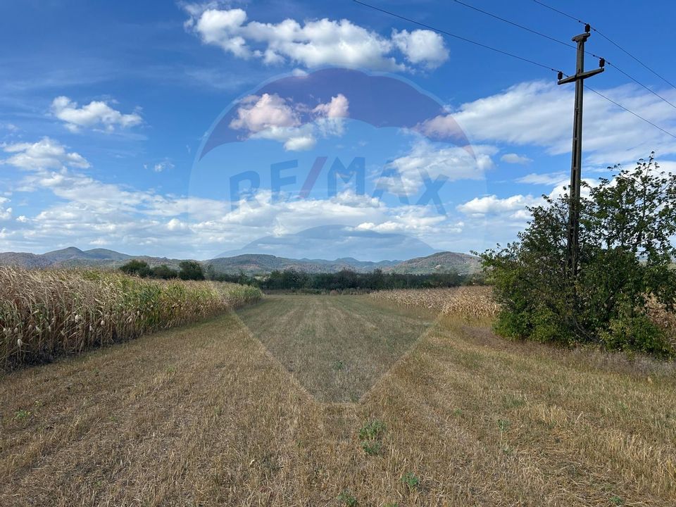 Land 3,172sqm Sasar / Strada 1 Decembrie