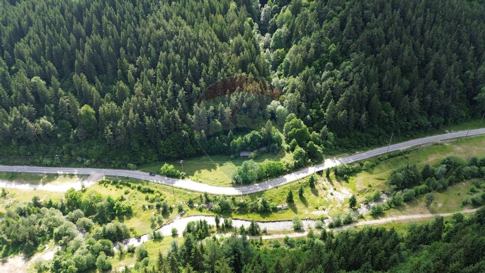 Teren spectaculols de vânzare la baza Muntelui Iezer – 11.546 mp c