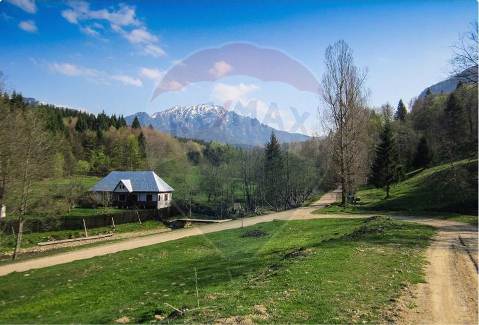 Teren 8500 mp, Valea Dălghiului - Dălghiu - vedere către Ciucaș