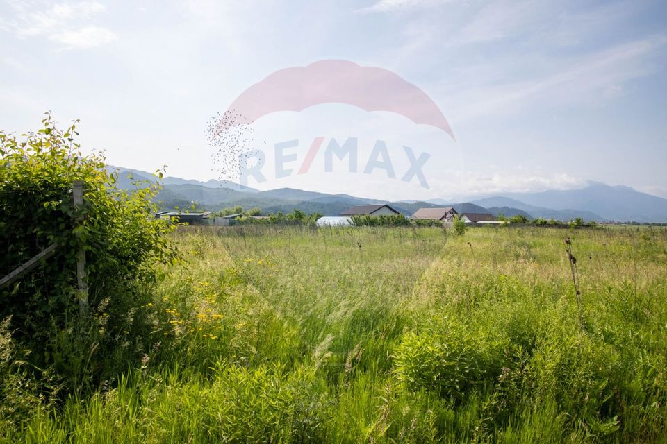 Land 1,205sqm Cristian / Strada Spicului