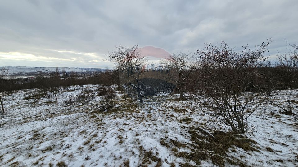 Teren 10,000mp Rădășeni / Șoseaua DN2-E85, județul Suceava