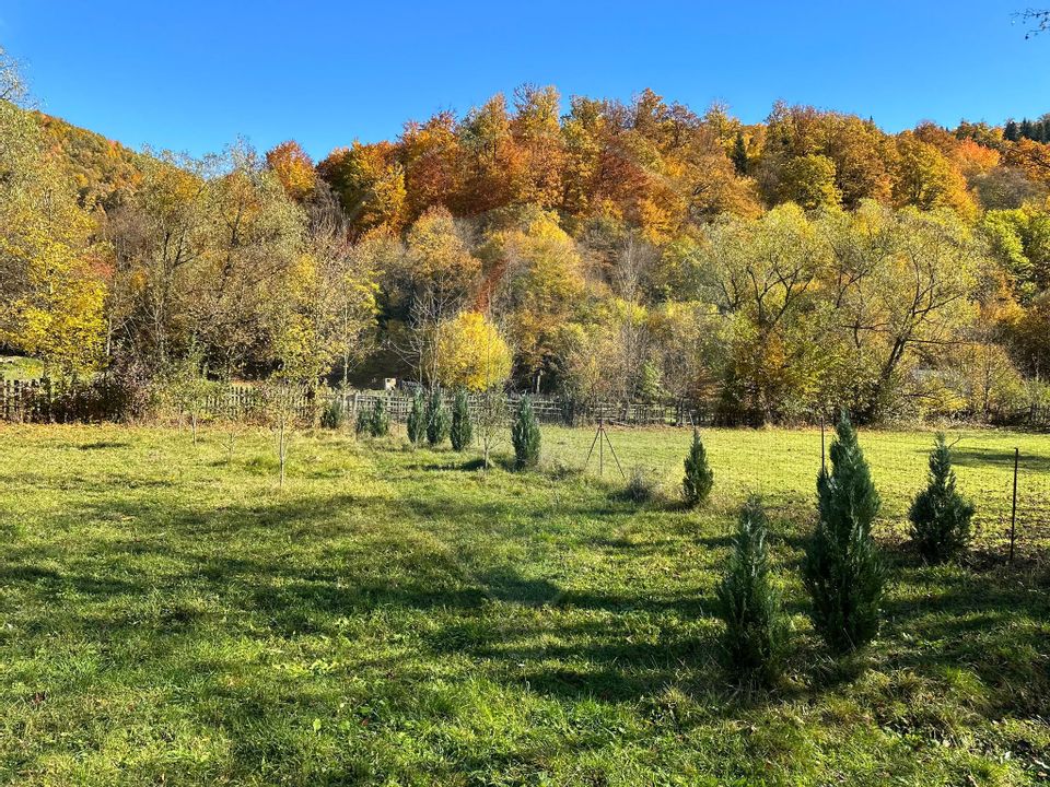 Land 1,350sqm Garcina / Strada Cuejdiului