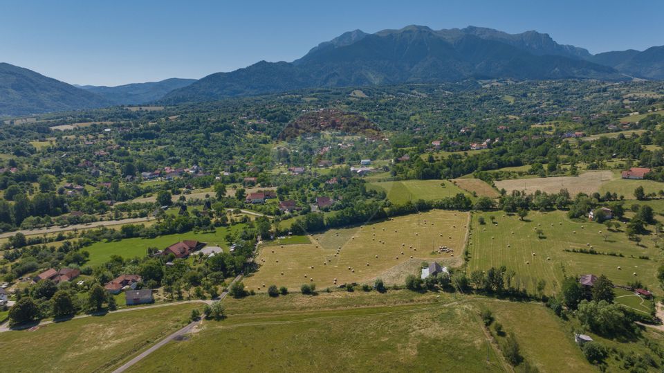 Teren Bran -Sohodol, Strada La mesteceni, 6900mp