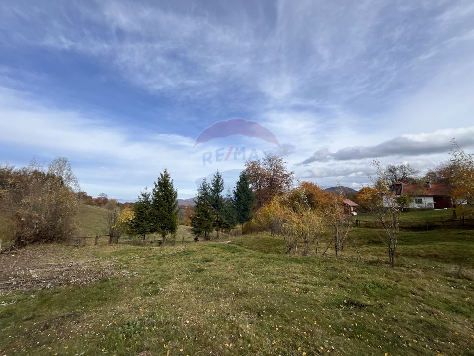 Teren de Vis în Bran – 1000mp Plat, Liniște Absolută și Aer Curat