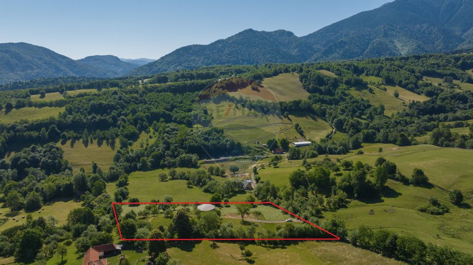 Land with utilities, 5,495sqm Bran - panoramic view, near Bran Castle