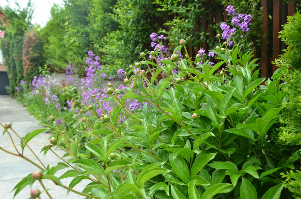 1 room Apartment for sale, Grigorescu area