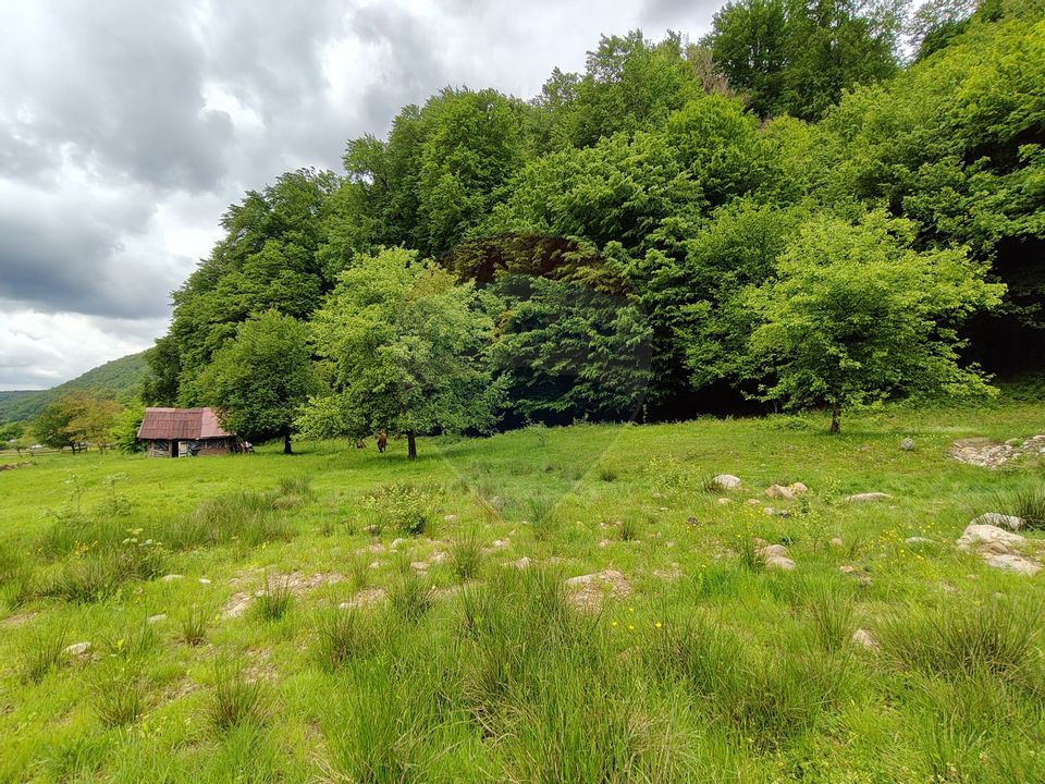 Land 1,674sqm Baita / Strada Principala