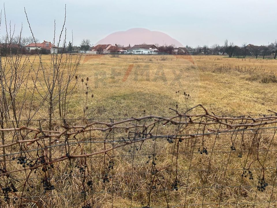 Land 9,866sqm Salonta / Strada Independentei , nr. 23
