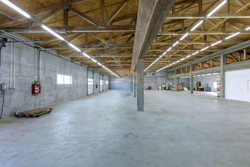 Hală 1.000 mp + curte 3.200 mp + CASĂ 160 mp BONUS | Acces TIR | Bacău