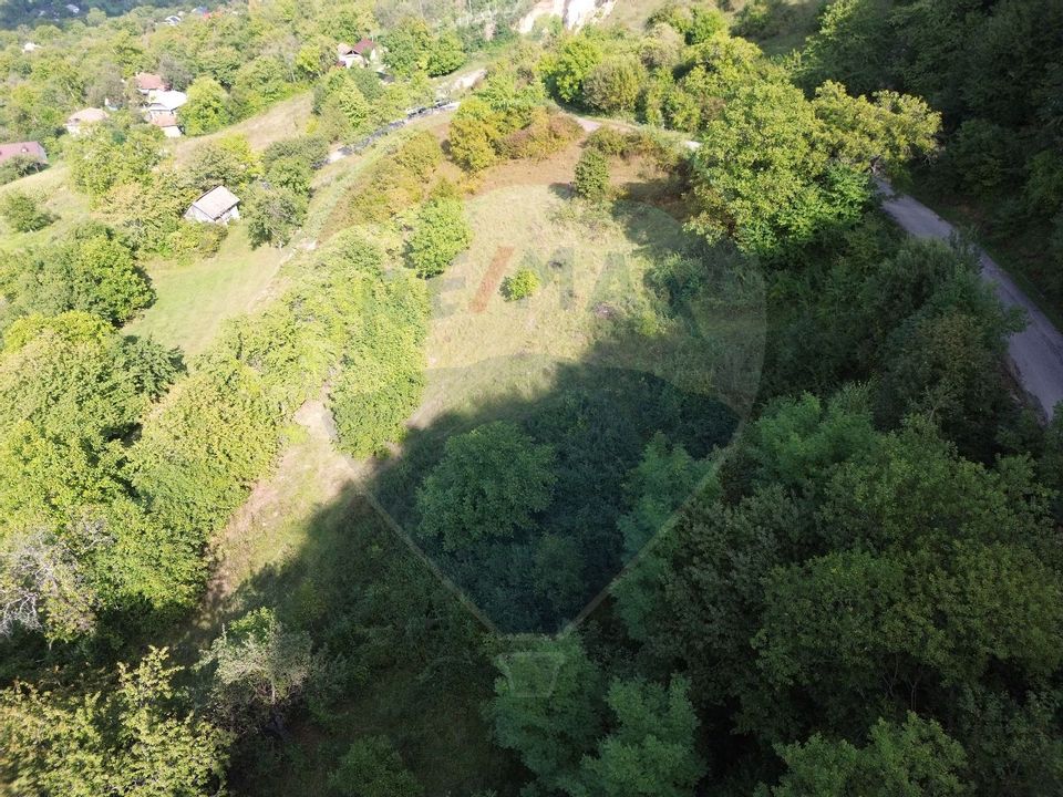 Land 5,000sqm Magureni / Strada Principală