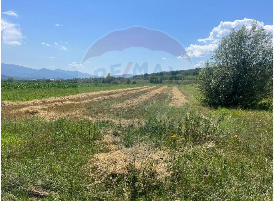 Land 24,000sqm Selimbar / DN Fara Nume