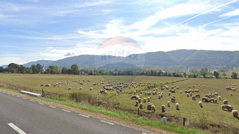 Terenuri de vânzare în Copalnic-Mănăștur - 52 hectare