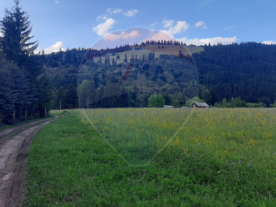 Land 13,650sqm Dorna-Arini / Drumul Dorna Arini