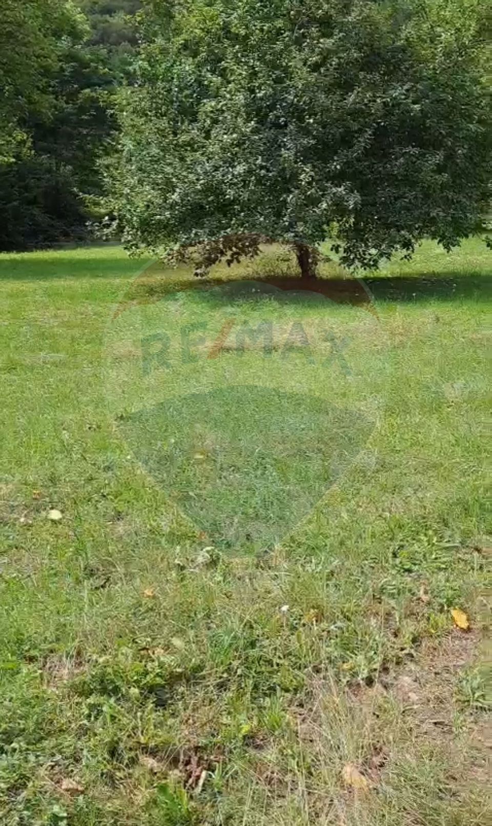 Casă langa parau-sat Brusturi, com. Halmagiu