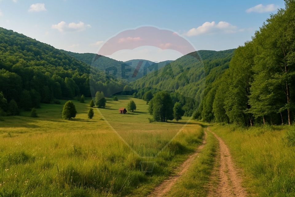 COMISION 0%  Teren 6,572 mp/Curți construcții/ Intravilan