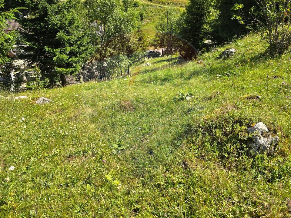 Teren de vis în Fundata 1934mp sau 3868mp, la înălțimea sufletului tău