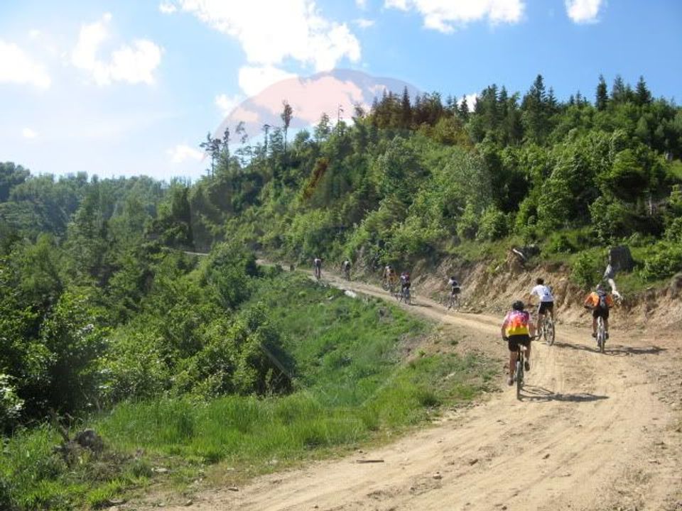 Teren 7 loturi de vânzare 65.313 mp, Valea Uzului, Dărmănești