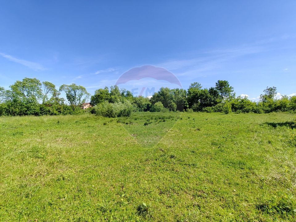 Teren Intravilan de Vanzare