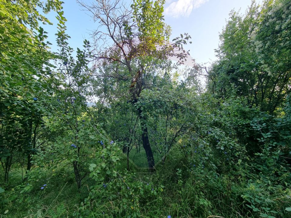 Teren cu Casa Veche in suprafata de 6000 mp, Breaza de Jos -Parcelabil