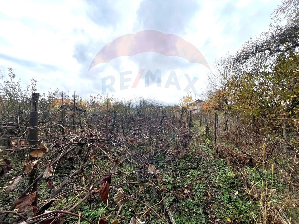 Casă  cu 3 camere de vânzare strada Bucegi zona Tache