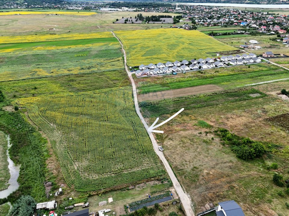 Land 3,091sqm Lilieci / Strada Tulbuc