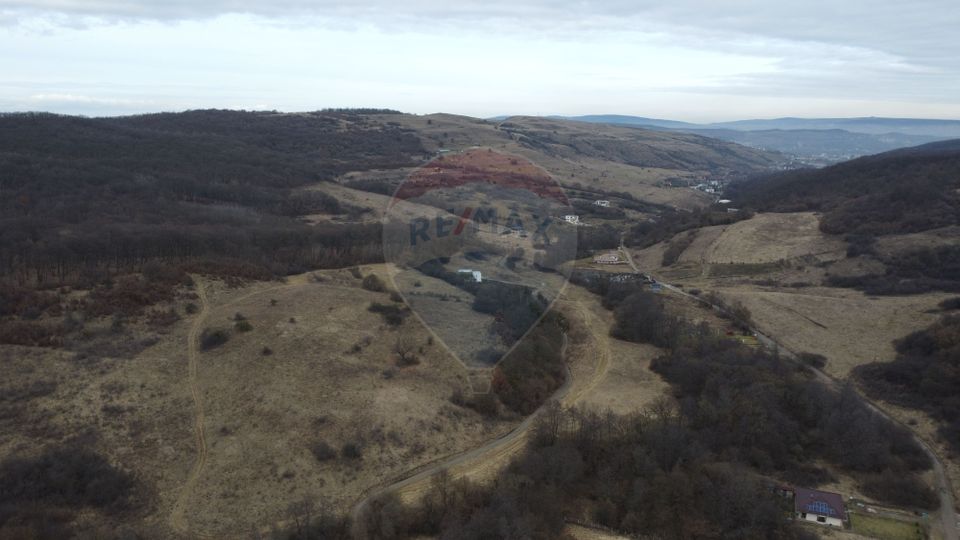 Land 999sqm Floresti / Strada Valea Garbaului